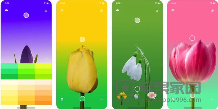 Flower Wallpaper Maker苹果iPhone版 - 苹果手机花卉壁纸制作工具