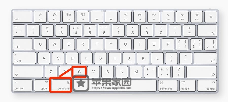 苹果电脑怎么复制粘贴文字(附图解及详细步骤)